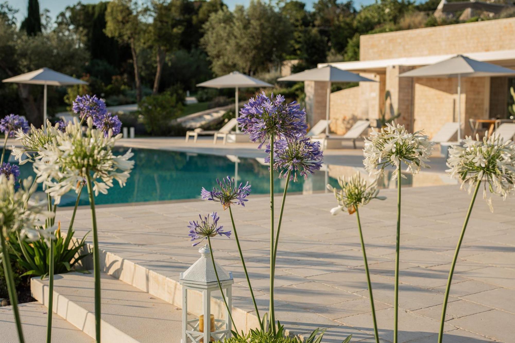 Essenza Relais Contemporaneo Bed & Breakfast Cisternino Bagian luar foto